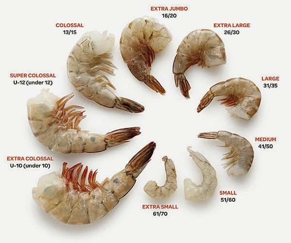 Prawn Sizes Explained: Small, Medium, Large, Jumbo and Tiger