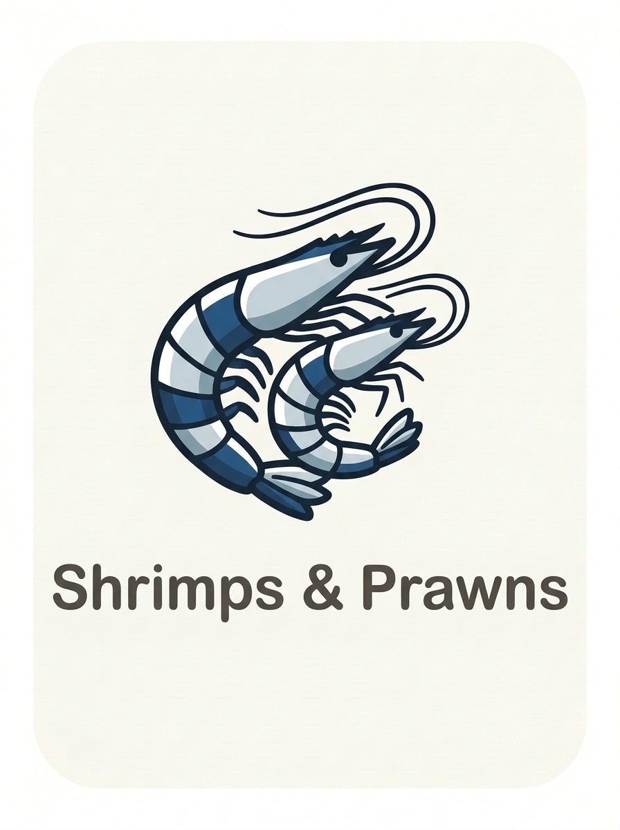 Shrimps and Prawns