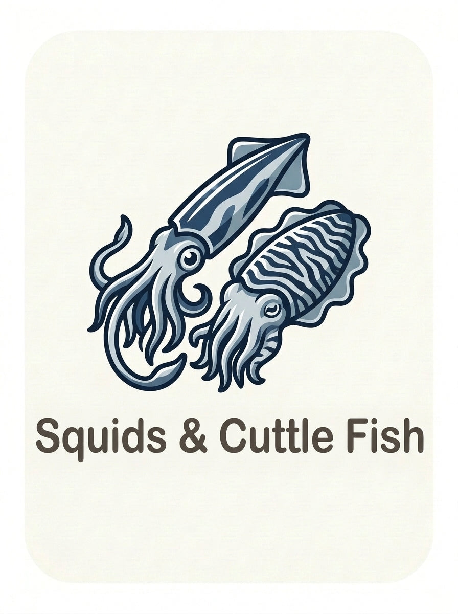 squid and cuttlefish