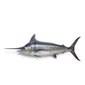 Blue Fin Marlin - Seafood Spot