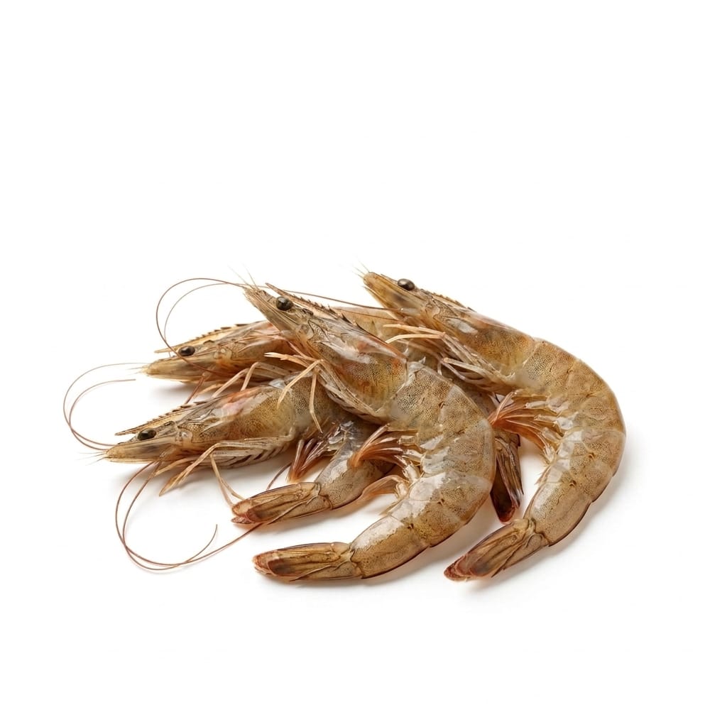 Brown Prawns (Holri Jheenga) - whole uncleaned - Seafood Spot