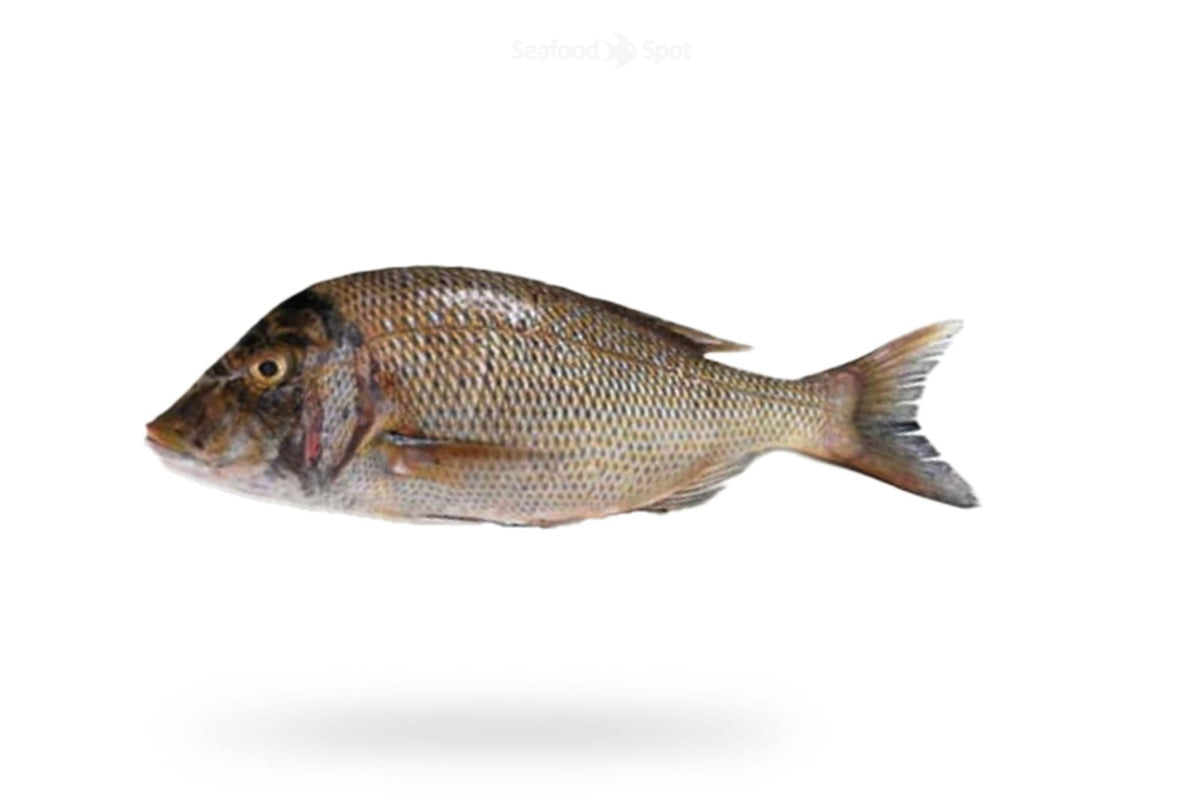 Emperor (Mulla) - Seafood Spot