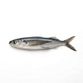 Fresh fish from Seafood Spot