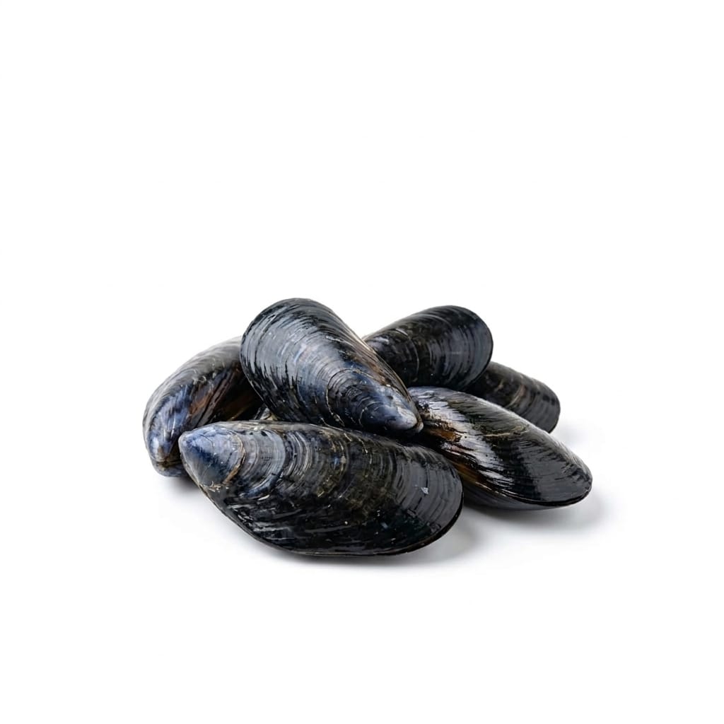 Green Mussels - Seafood Spot