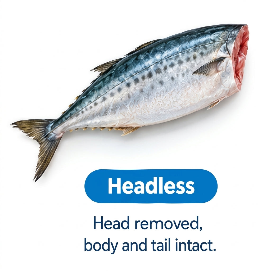Headless gutted fish - Seafood Spot