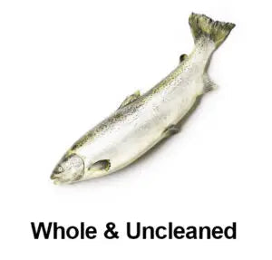 Indian Salmon (Rawans) - Seafood Spot
