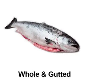 Indian Salmon (Rawans) - whole gutted fish - Seafood Spot
