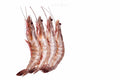 Jumbo Prawns - Seafood Spot