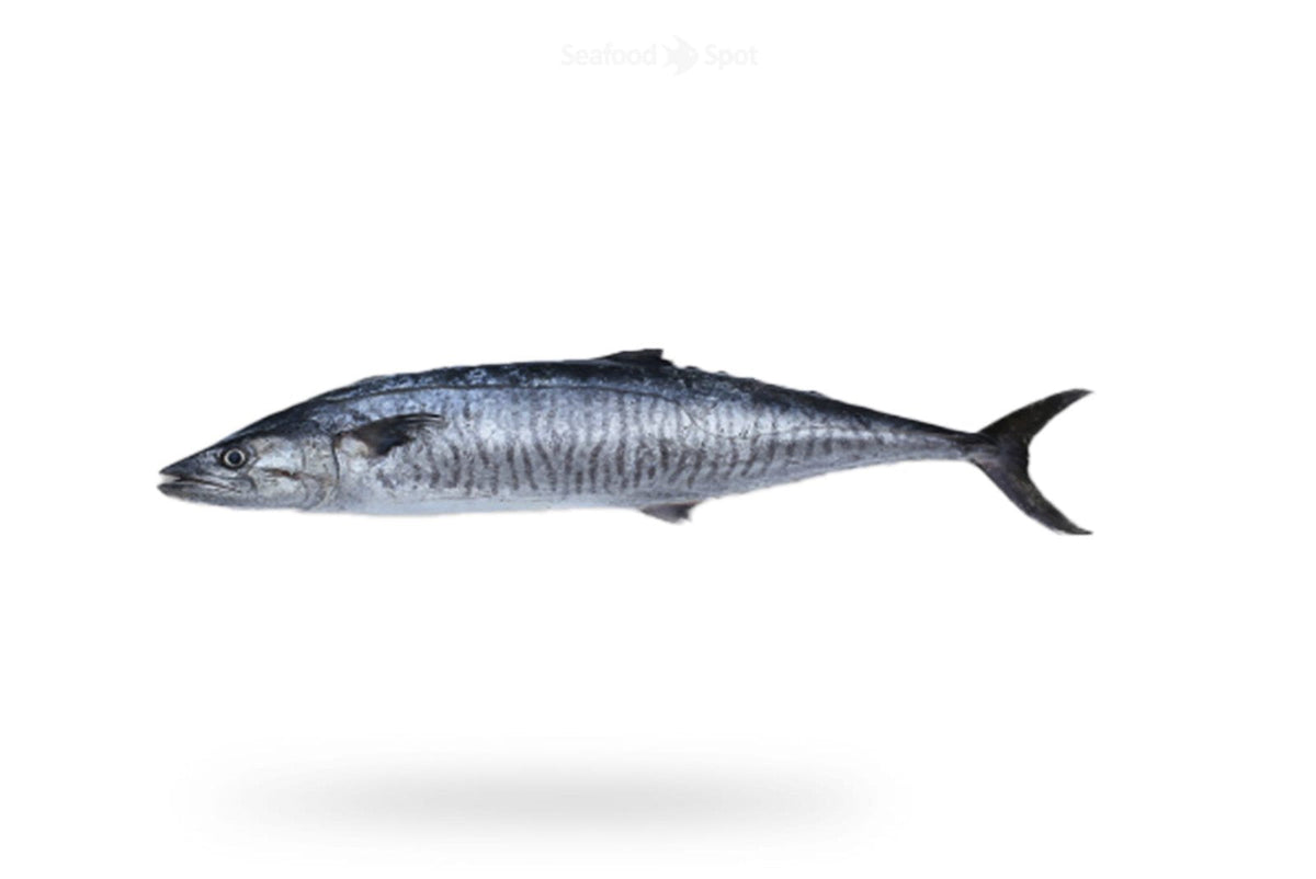 King Fish (Surmai) - Seafood Spot