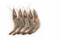 Large Prawns - Seafood Spot
