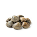 Manila Clams - Seafood Spot