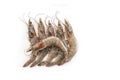 Medium Prawn - Seafood Spot