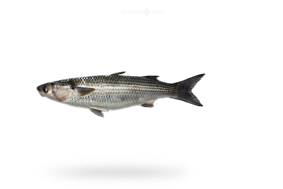 Mullet (Boi) - Seafood Spot