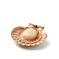 Scallops - Seafood Spot