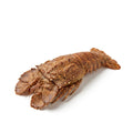 Slipper Lobster (Chappar) - Seafood Spot