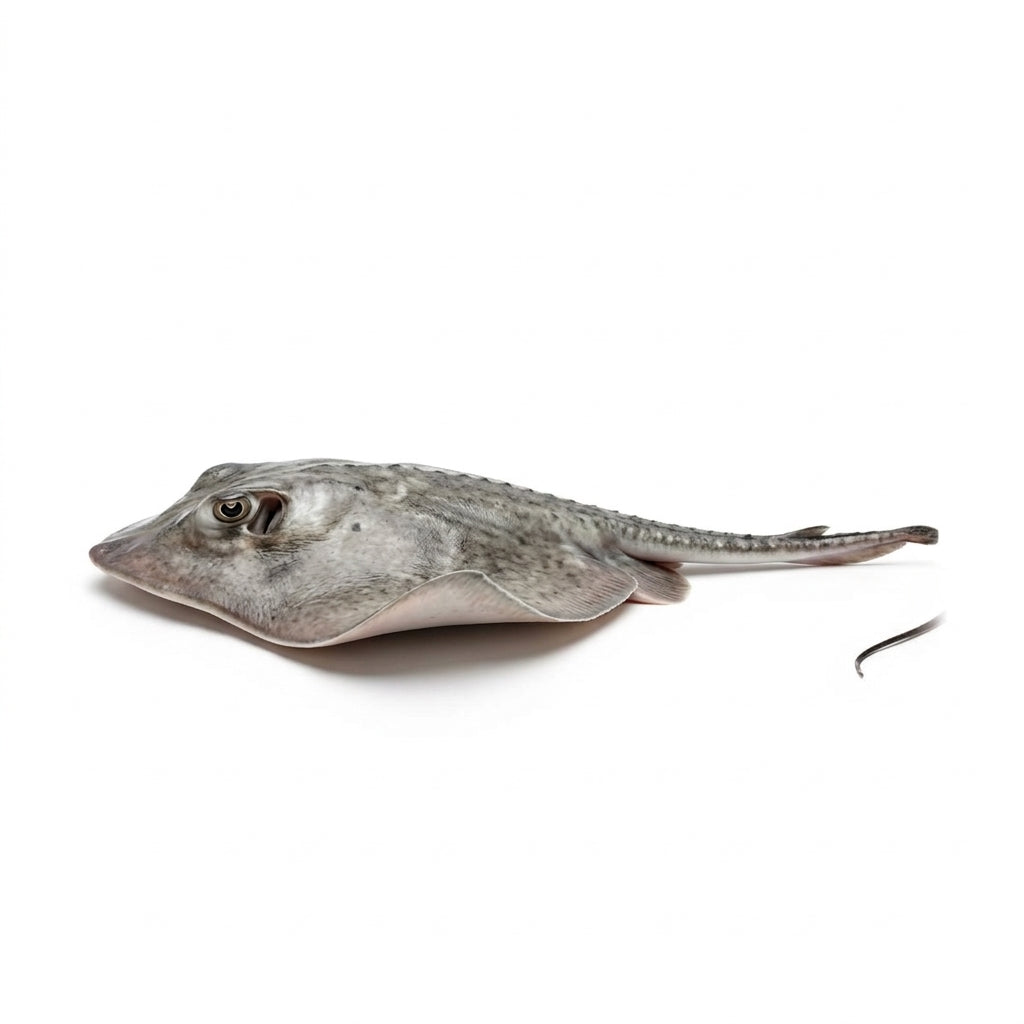 Stingray (Pittan) - Seafood Spot