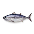 Tuna (Dawan) - Seafood Spot