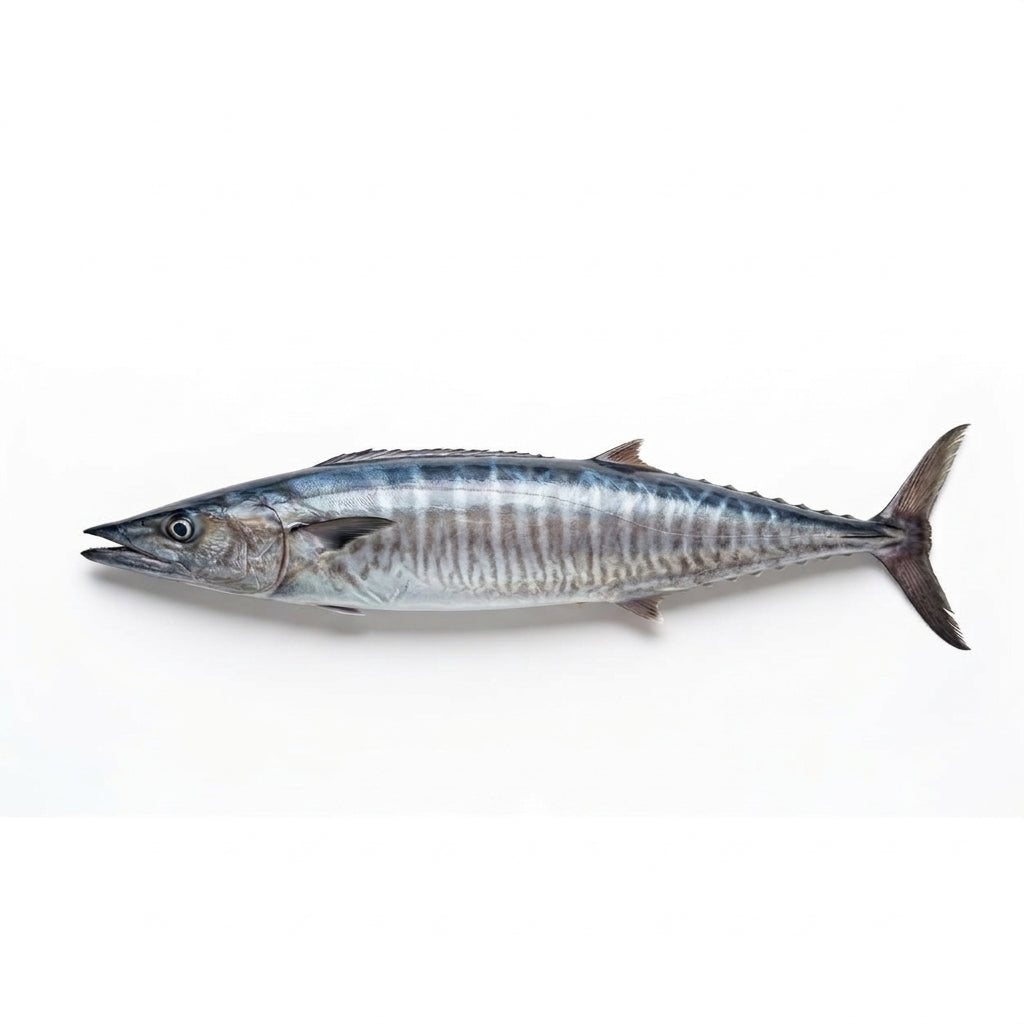 Wahoo (Surmai) - whole uncleaned - Seafood Spot
