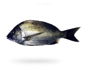 A-Fresh-Goldslik-Bream-Fish-Kala-Dandia-Fish-for-online-Seafood-Delivery-in-Pakistan