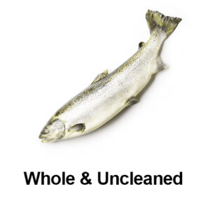 Fish Whole & uncleaned