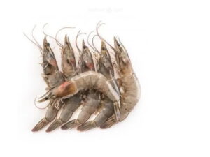 Fresh-Medium-prawns-ready-for-online-seafood-delivery-in-pakistan