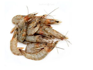 Fresh-small-prawns-ready-for-online-seafood-delivery-in-pakistan