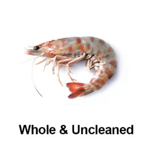 Prawns - Whole & Uncleaned