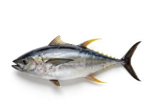 yellow fin Tuna (dawan)